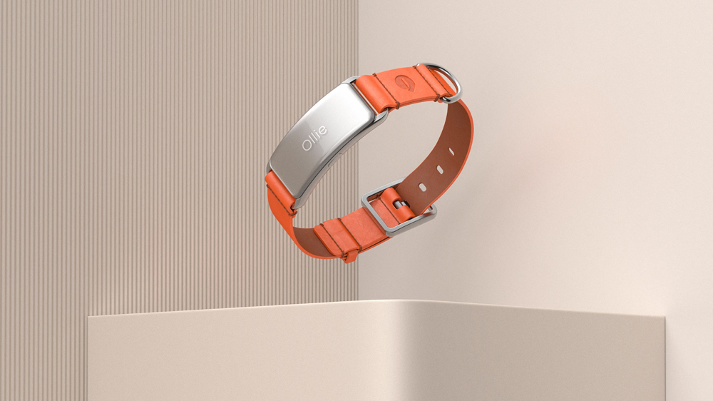 宠物智能项圈设计-宠物项圈设计-宠物智能项圈设计要求