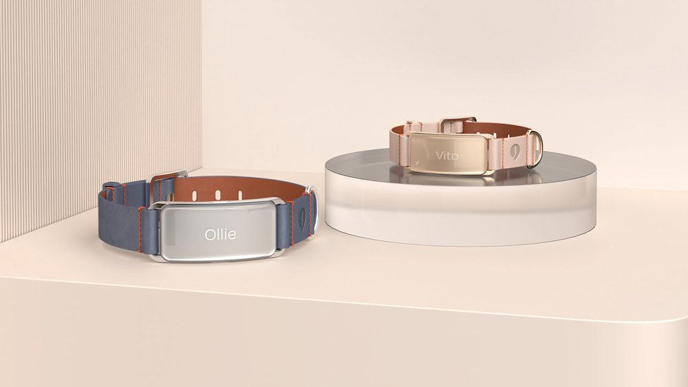 宠物智能项圈设计